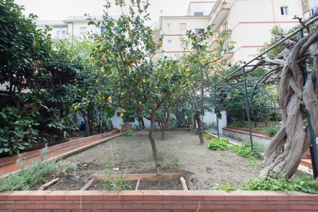 Вилла Oltre Il Giardino Вико-Экуенсе Экстерьер фото